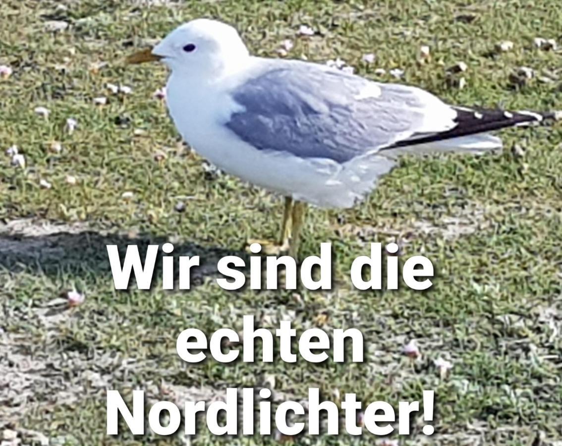 Nordsee Im Kuenstlerhaus Bei Husum - Keine Monteure Arbeiter Apartment